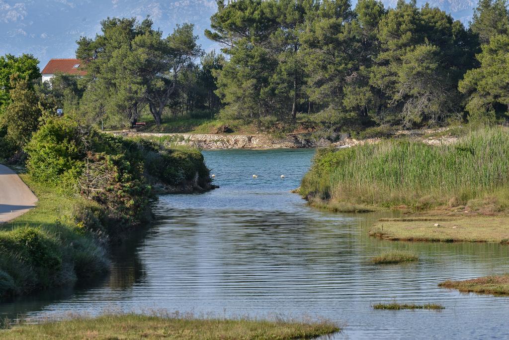 Amazing Villa Ele Zaton  Dış mekan fotoğraf